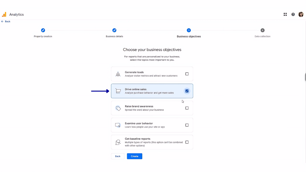 For the Business Objectives section, choose Drive Online Sales